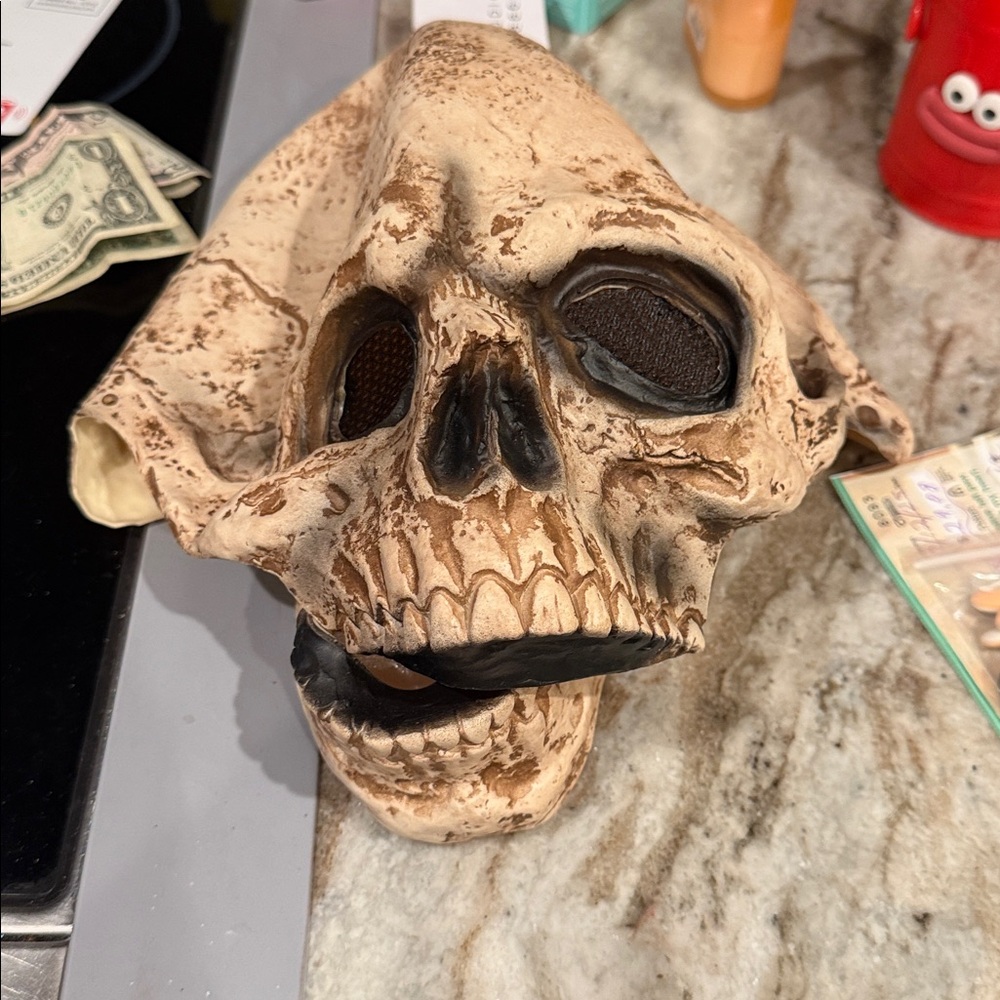 Realistic Skull Mask with Black Details